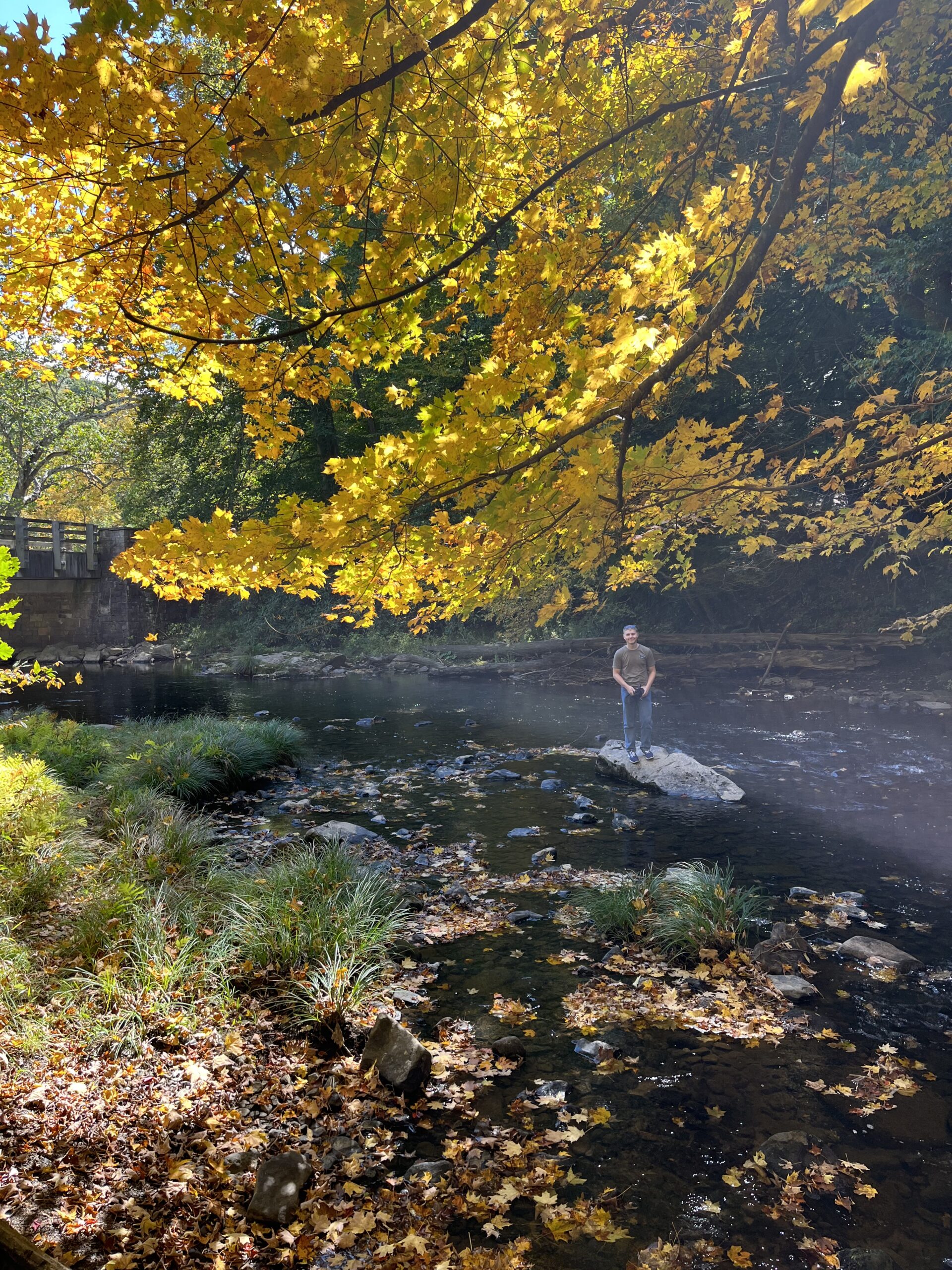 Laurel Hill & Ohiopyle State Parks, PA